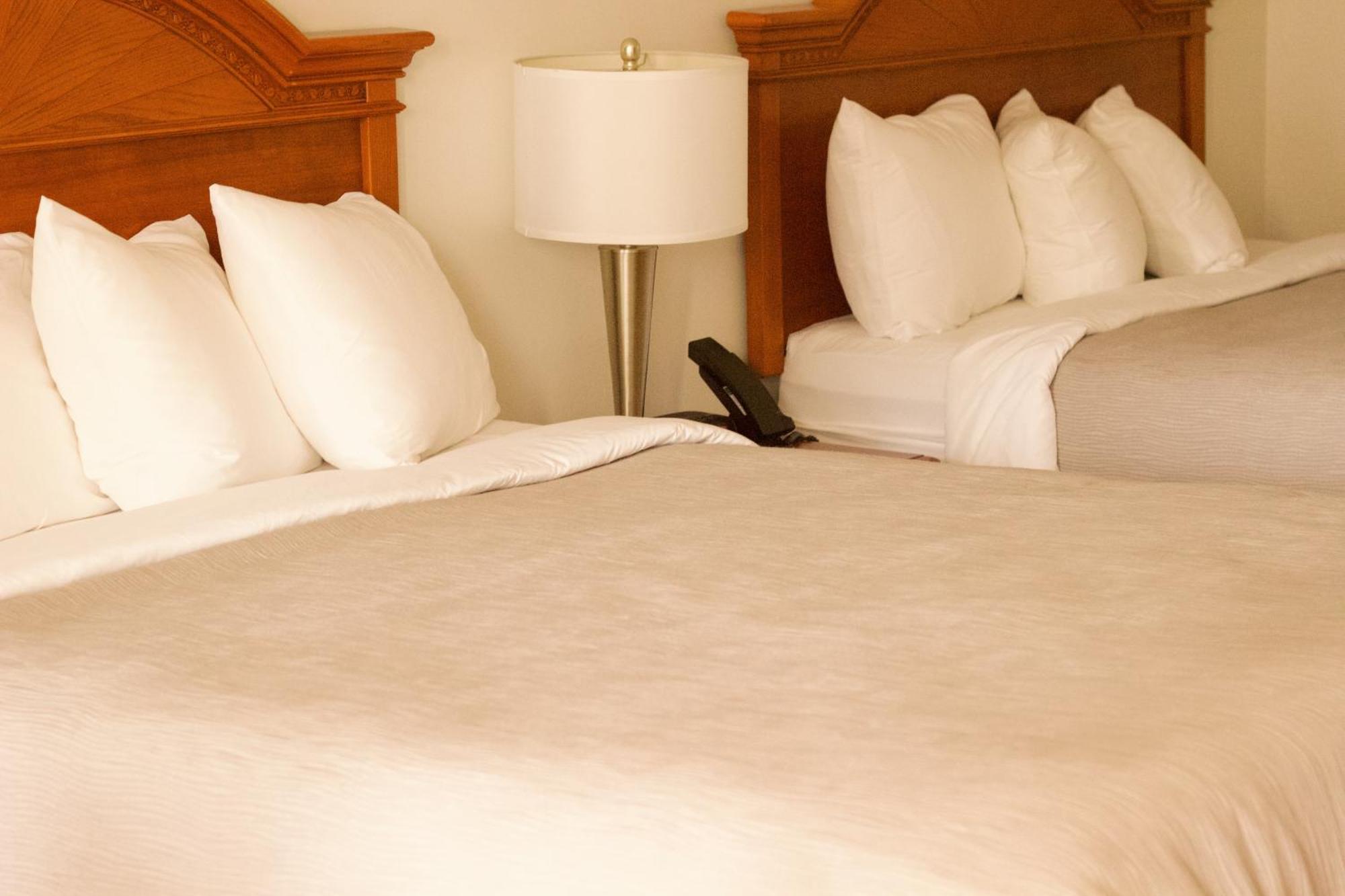 רינגולד Quality Inn Near Chattanooga South מראה חיצוני תמונה