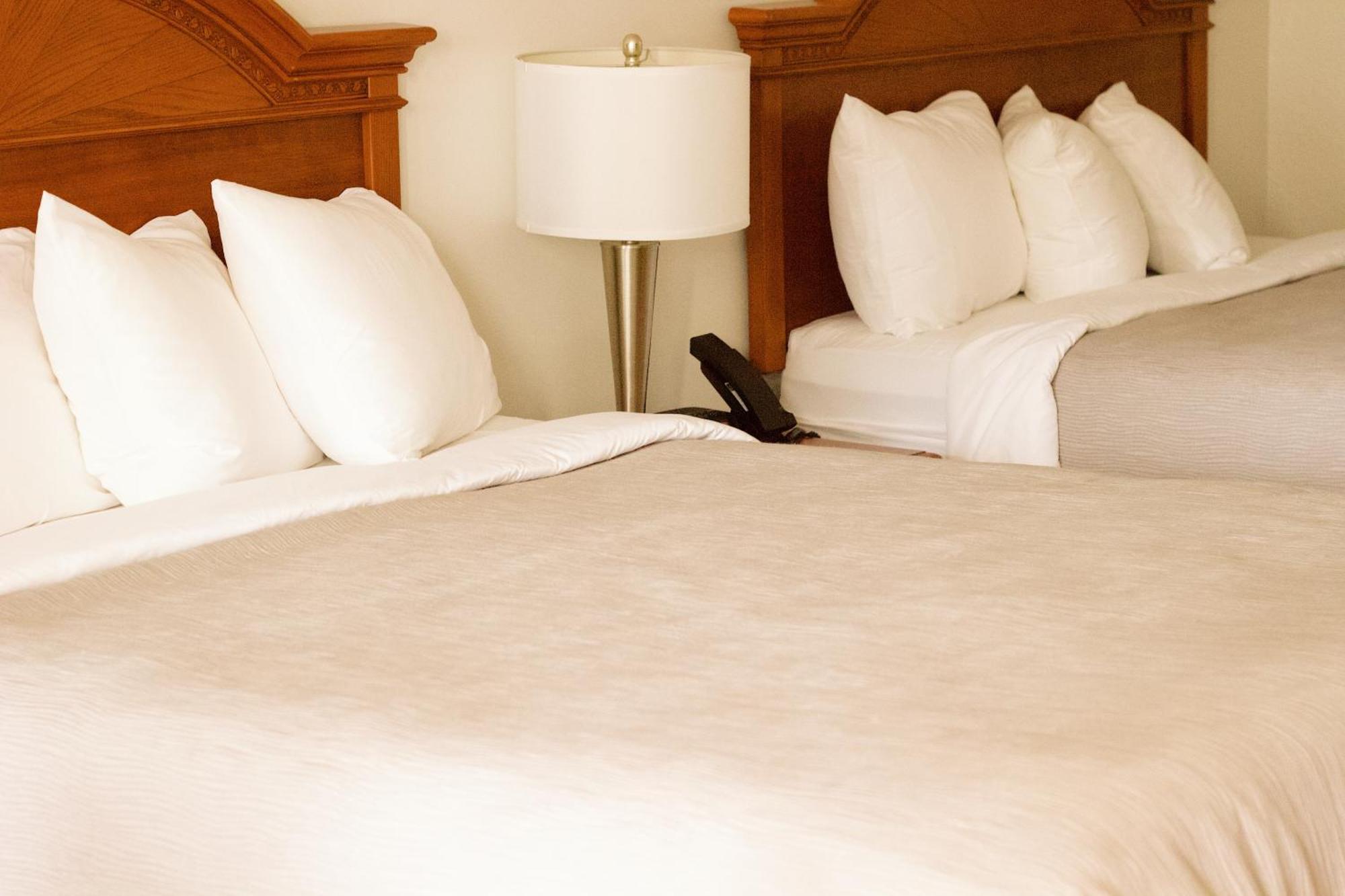 רינגולד Quality Inn Near Chattanooga South מראה חיצוני תמונה
